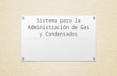 Sistema para la Administración de Gas y Condensados