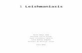 trabalho teorico Leishmaniasis.docx