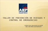 Prevencion de riesgos: Control de emergencias Unidad 1