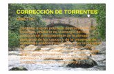 Cuencas Torrenciales.pdf