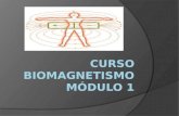 Curso Biomagnetismo Modulo 1