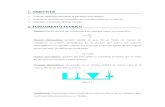 FISICA III Informe4 hidrostatica.docx