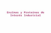 Tema 5.6 Enzimas y Proteinas de Interes Industrial - Alumnos