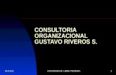 Consultoría Organizacional Gustavo Riveros