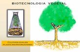TEMA 8 Cultivos Duales in Vitro