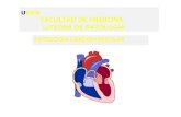 Patologia 2014-2 Circulatorio1