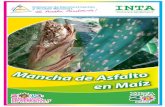 Brochure Mancha de Asfalto 2013