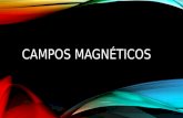 Clase Se Campos Magnéticos