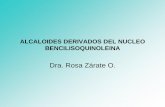 7.-Alcaloides fenantrenicos- bencilisoquinoloina  clase 7.pdf