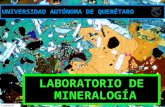 Expo Maclas minerales