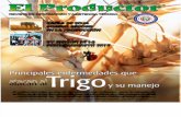 EL PRODUCTOR REVISTA - ABRIL 2013 - PARAGUAY - PORTALGUARANI