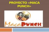 Proyecto «Maca Punch»