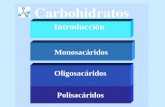 7. Biotecnol. Clase Carbohidratos