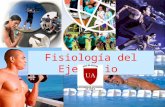1º Introducion Fisiologia Del Ejercicio (21) Mas Cronograma Pruebas
