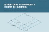 (Serie de Matemática. Monografía No. 22) Merklen, Héctor a.-estructuras Algebraicas v (Teoría de Cuerpos)-OEA (1979)