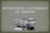 Microscopio Electronico de Barrido