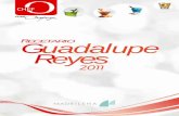 Chef Oropeza - Recetario Guadalupe Reyes 2011
