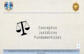 Conceptos Juridicos fundamentales