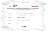 Monografia de Puentes y Albañileria Renovado