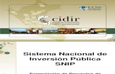 SNIP - Formulacion de Proyectos de Inversion