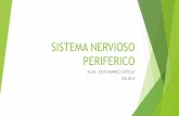 SISTEMA NERVIOSO PERIFERICO.pdf