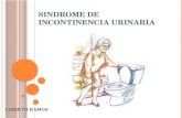 Sindrome de Incontinencia Urinaria