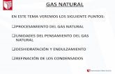 Ppts Gas Natural