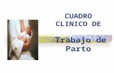 Cuadro Clinico de Tdp