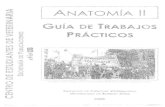 Guía Tp Anato 2 (1).pdf