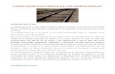 Caracteristicas Fisicas de Los Ferrocarriles