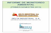 Informe de Monitoreo Ambiental (Primer Semestre 2013) - Delta Industrial S.a.