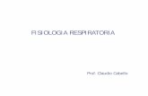 Clase 1 Respiratorio S1 2015 BIOL 178.pdf
