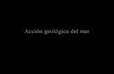 Accion Geologica de Los Mares
