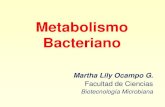 Metabolismo microbiana