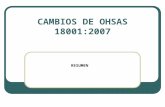 Cambios de Ohsas 18001- 2007