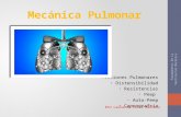 Mecanica Pulmonar
