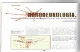 Nanoneurología. Nanotecnología aplicada a las neurociencias