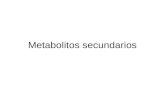 metabolismo secundario-3