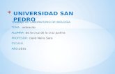 Universidad San Pedro - Eritrocitos