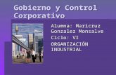 Control Corporativo 2014