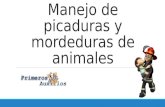 Manejo de Picaduras y Mordeduras de Animales