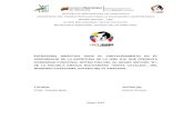 Proyecto Sucre Diversidad Funcional Eliatriz.docx