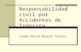 20071201-EGACAL Responsabilidad Civil Por Accidentes de Tránsito JDAT[1]