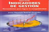 04 B manual Indicadores de Gestión.pdf