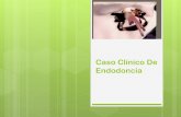 PDF Caso Clinico Endo