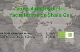 yacimientos de shale gas