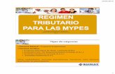 Regimen Tributario Para Mypes Peru