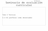 Evaluación Curricular - Técnica La Observación - 260515 V2.0