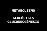 Metabolismo y Glucólisis 2013