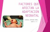 Factores Que Afectan La Adaptacion Neonatal